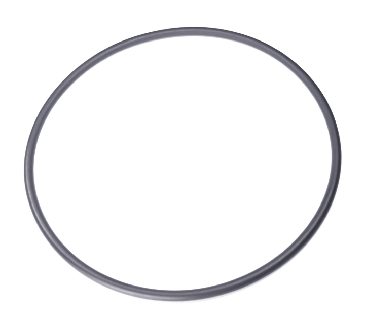 O-ring nel gruppo presso GPLSHOP (5203240-01)