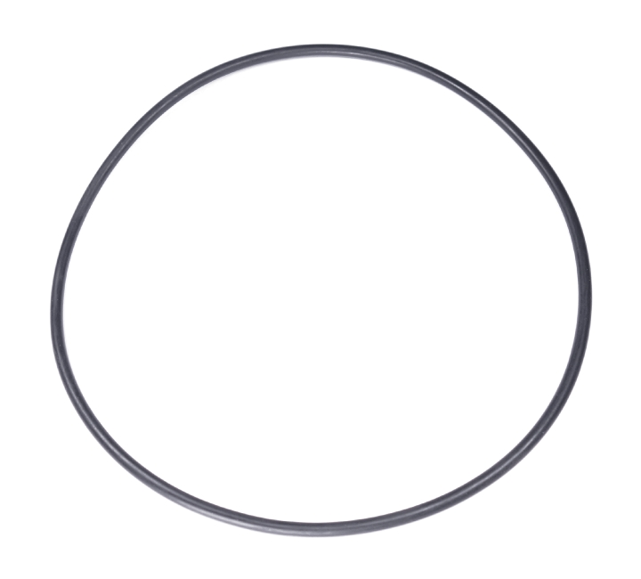 O-Ring 155X4 nel gruppo presso GPLSHOP (5203558-01)