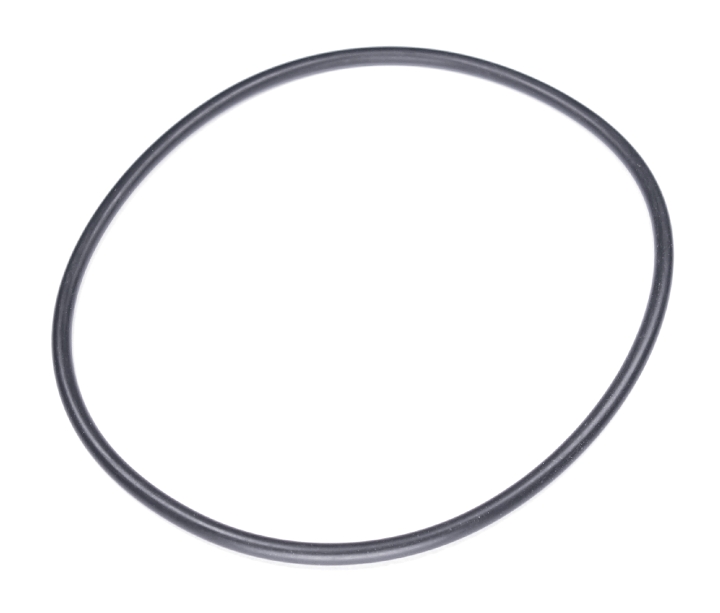O-ring nel gruppo  presso GPLSHOP (5203661-01)