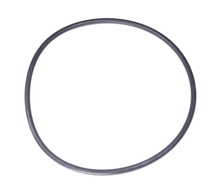 O-ring nel gruppo  presso GPLSHOP (5203744-01)