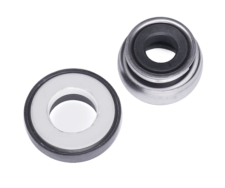 Guarnizione Asse, Cpl nel gruppo presso GPLSHOP (5203852-01)
