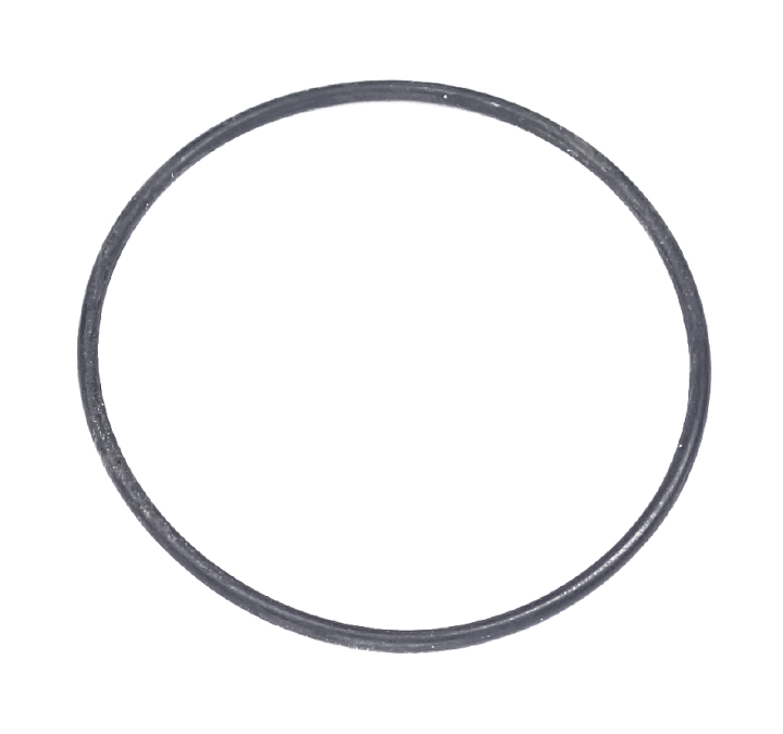 O-ring nel gruppo  presso GPLSHOP (5203917-01)