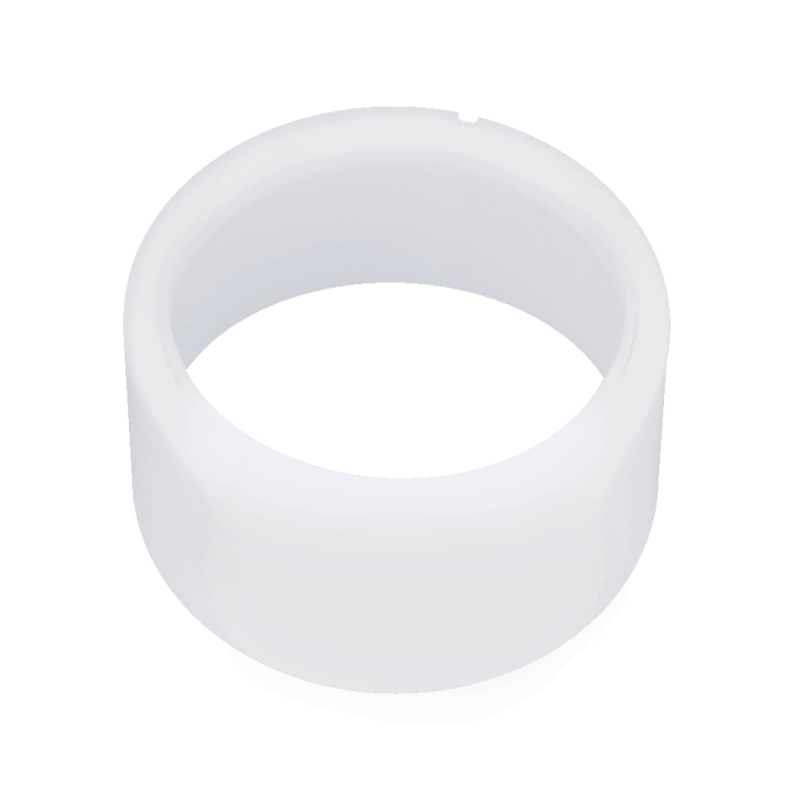 Anello Eccentrico nel gruppo presso GPLSHOP (5203922-01)