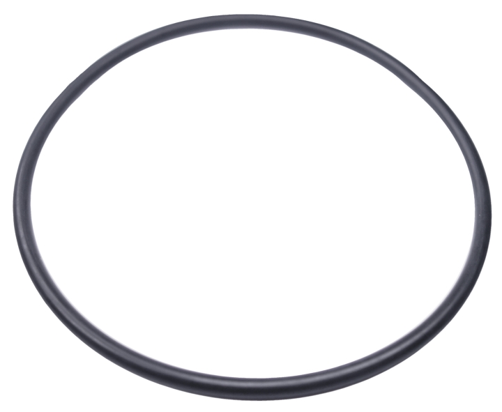 O-ring nel gruppo  presso GPLSHOP (5204056-01)