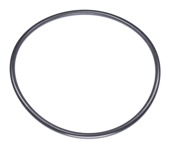 O-ring nel gruppo  presso GPLSHOP (5204087-01)