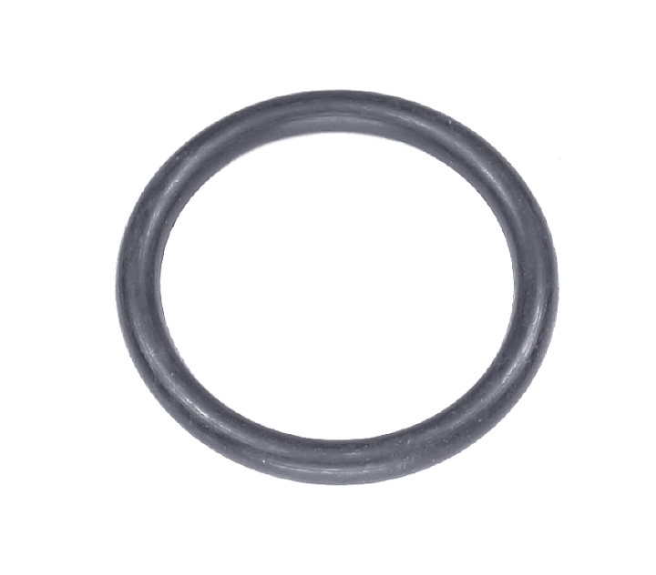O-ring nel gruppo  presso GPLSHOP (5204093-01)