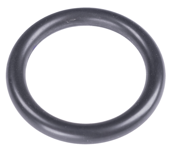 O-Ring Ø24X4 nel gruppo  presso GPLSHOP (5204836-01)