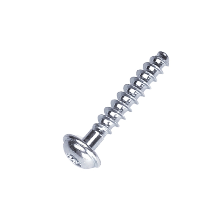 Vite T50X28 5205247-01 nel gruppo presso GPLSHOP (5205247-01)