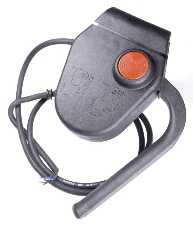 Interruttore nel gruppo presso GPLSHOP (5205353-01)
