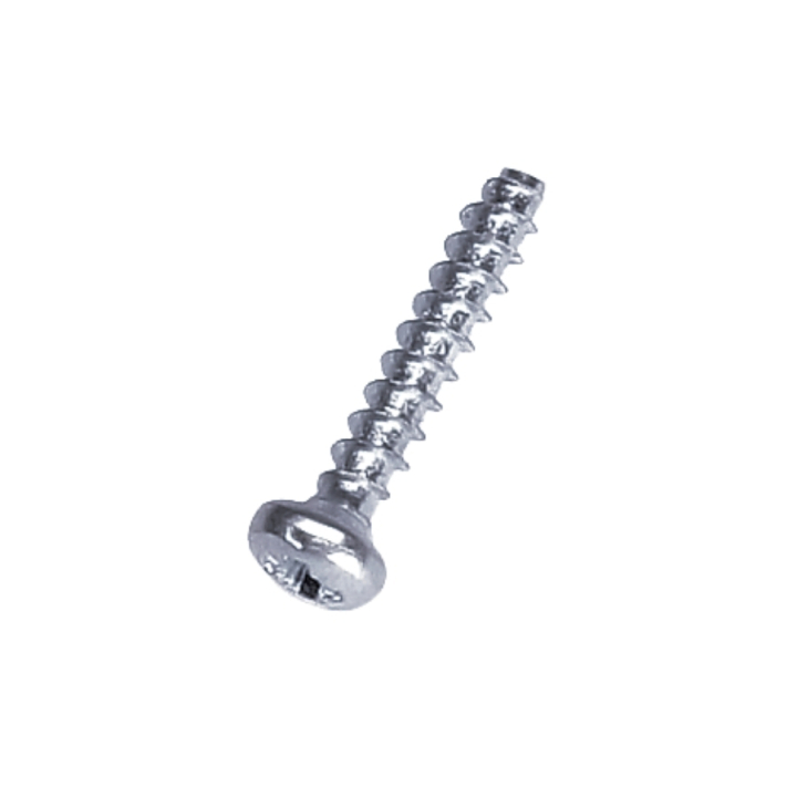 Vite Cilindro 3.5X20 5206120-01 nel gruppo  presso GPLSHOP (5206120-01)