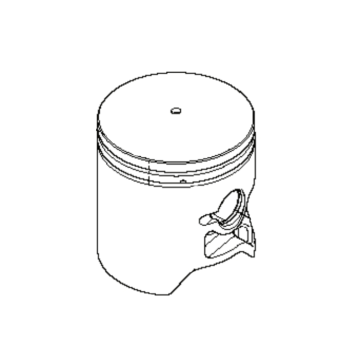 Pistone 5216238-01 nel gruppo  presso GPLSHOP (5216238-01)