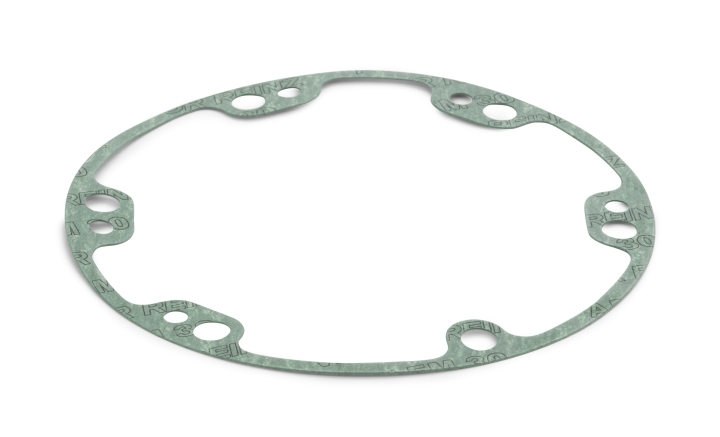 Guarnizione nel gruppo presso GPLSHOP (5227201-01)