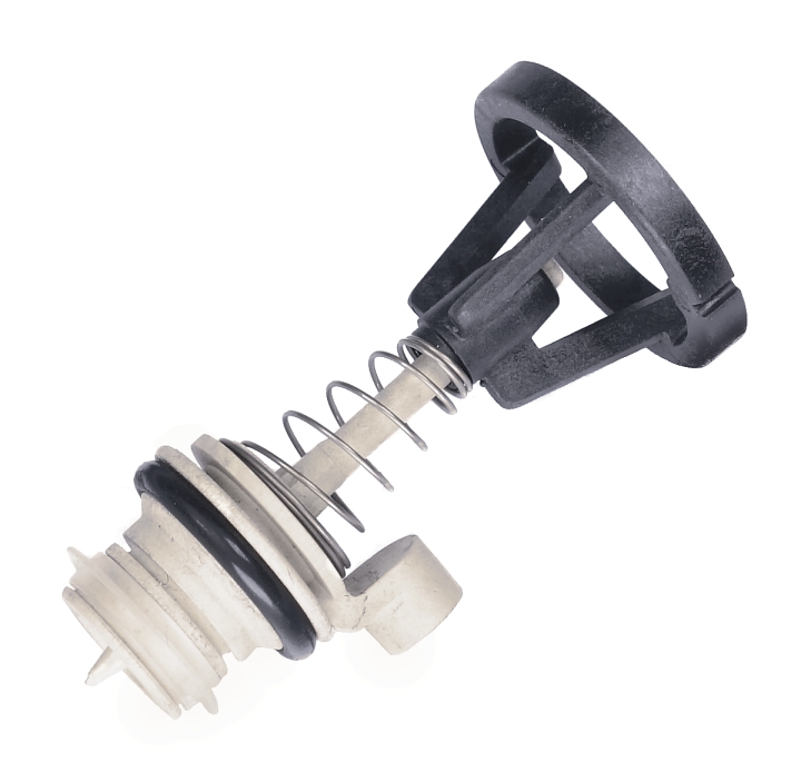 Valvola Di Non Ritorno nel gruppo presso GPLSHOP (5227722-01)