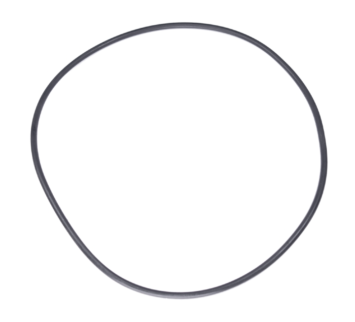 O-ring nel gruppo  presso GPLSHOP (5255607-01)