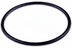 Guarnizione, 700mm nel gruppo  presso GPLSHOP (5256170-04)