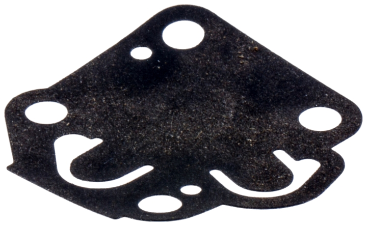 Membrana Pompa 5310029-04 nel gruppo  presso GPLSHOP (5310029-04)