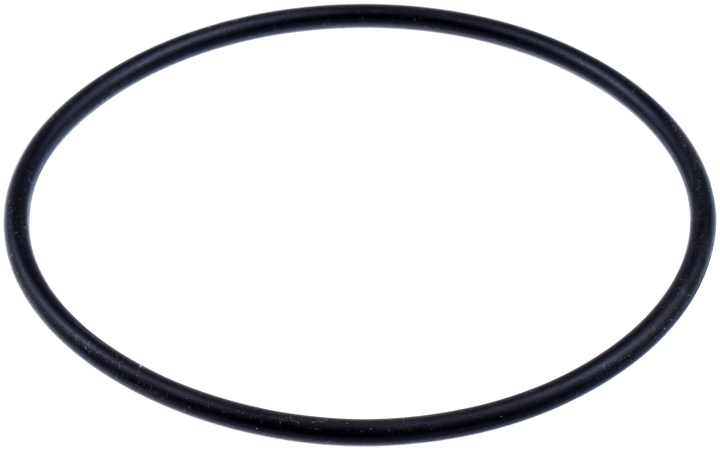 O-ring nel gruppo  presso GPLSHOP (5310032-15)