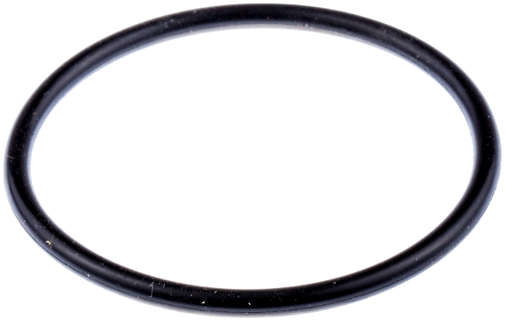O-ring nel gruppo  presso GPLSHOP (5310033-45)