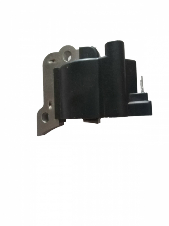 Modulo di accensione 5310047-31 nel gruppo  presso GPLSHOP (5310047-31)