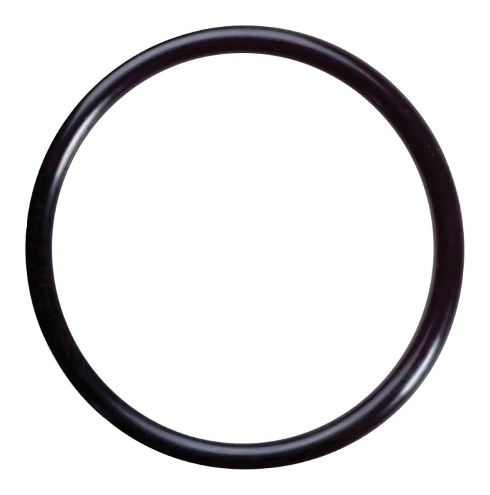 O-Ring 5310078-47 nel gruppo  presso GPLSHOP (5310078-47)