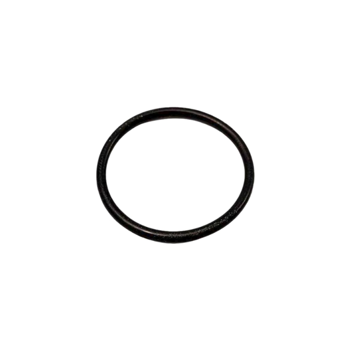 O-Ring 5310296-58 nel gruppo I Pezzi Di Ricambio / Pezzi di ricambio Gräsklippare / Pezzi di ricambio till Motorer / Pezzi di ricambio Kohler SV740-0019 presso GPLSHOP (5310296-58)