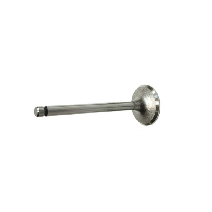 Valvola 5310297-11 nel gruppo  presso GPLSHOP (5310297-11)