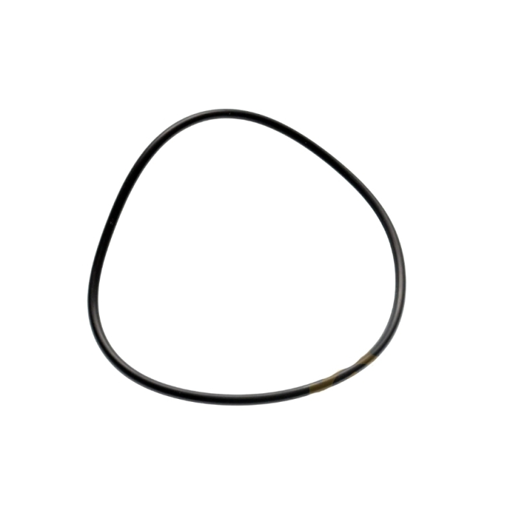 O-Ring 5310297-40 nel gruppo  presso GPLSHOP (5310297-40)
