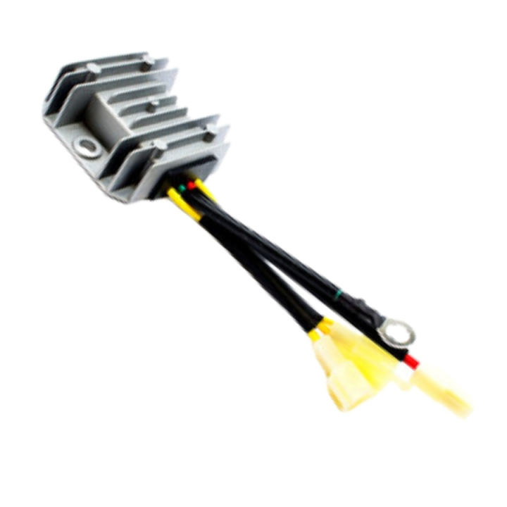 Variatore nel gruppo I Pezzi Di Ricambio / Pezzi di ricambio Rider presso GPLSHOP (5311471-24)