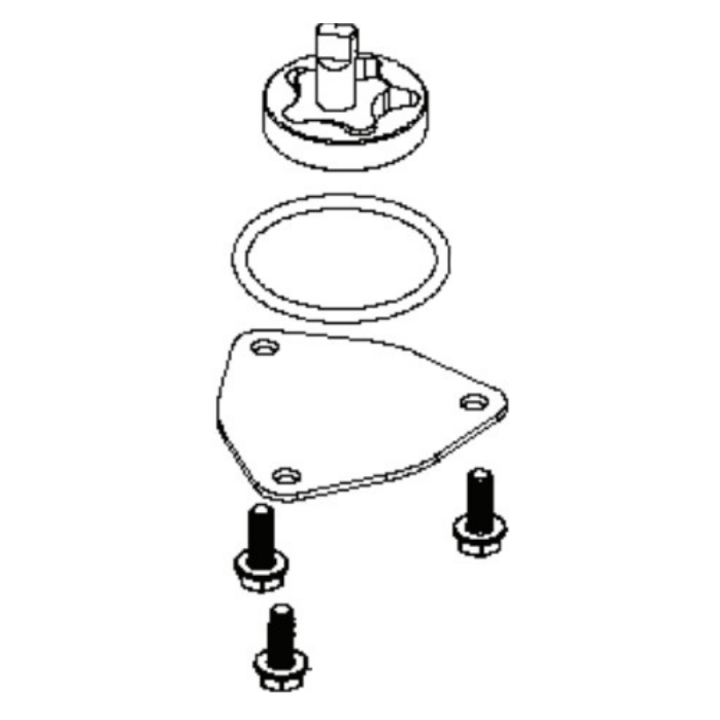 Gruppo pompa olio nel gruppo I Pezzi Di Ricambio / Pezzi di ricambio Rider presso GPLSHOP (5311471-40)