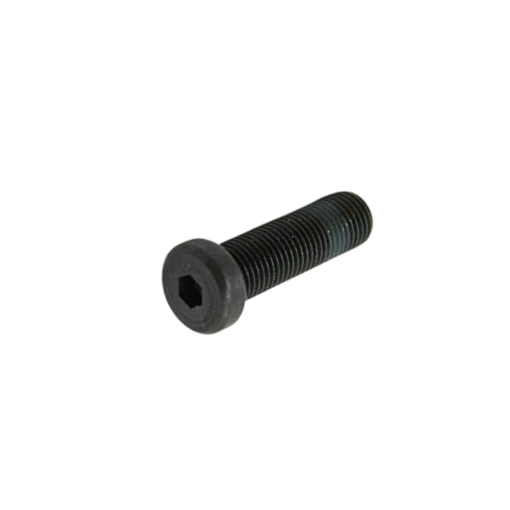 Bullone 5324308-17 nel gruppo  presso GPLSHOP (5324308-17)