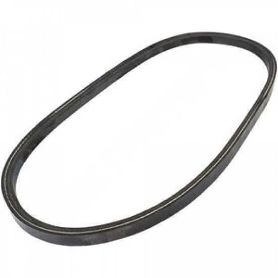 Cinghia nel gruppo  presso GPLSHOP (5324481-83)