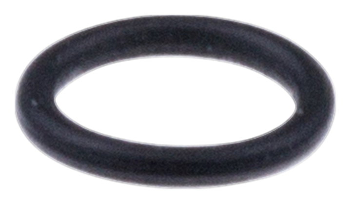 O-ring nel gruppo  presso GPLSHOP (5370028-01)