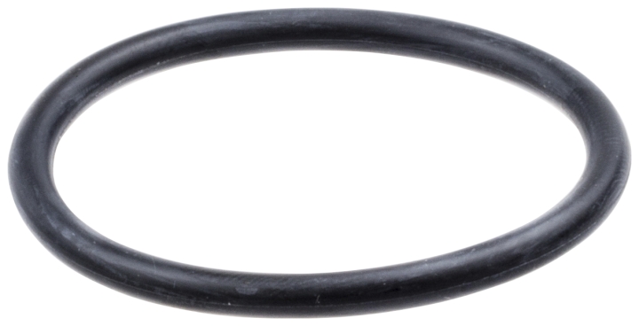 O-ring nel gruppo  presso GPLSHOP (5371250-01)
