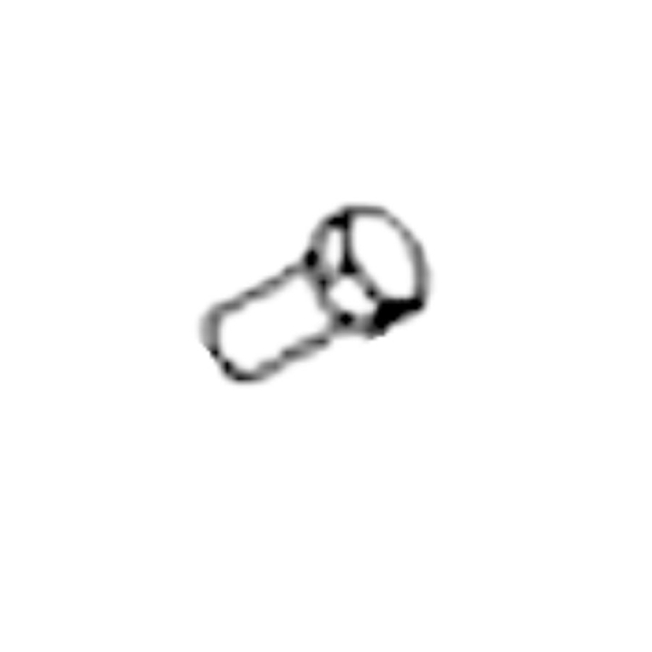 Bullone 5399902-06 nel gruppo presso GPLSHOP (5399902-06)