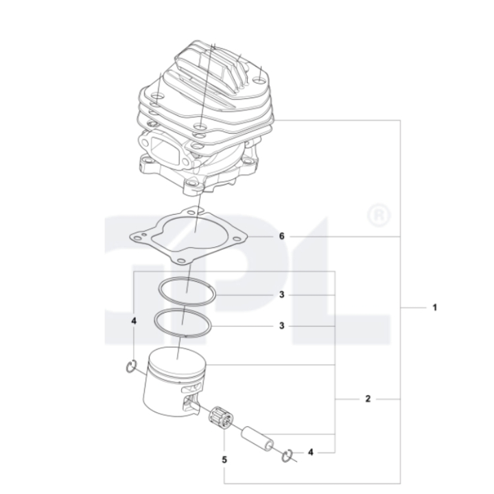 Kit cilindro 564XPG nel gruppo presso GPLSHOP (5400723-02)