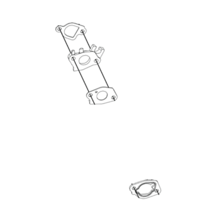 Kit guarnizioni carburatore nel gruppo  presso GPLSHOP (5401958-01)