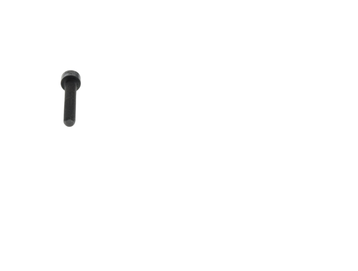 Vite M5x30 nel gruppo presso GPLSHOP (5474473-01)