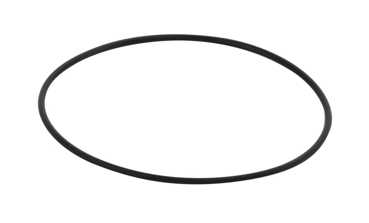 O-ring nel gruppo  presso GPLSHOP (5744525-01)
