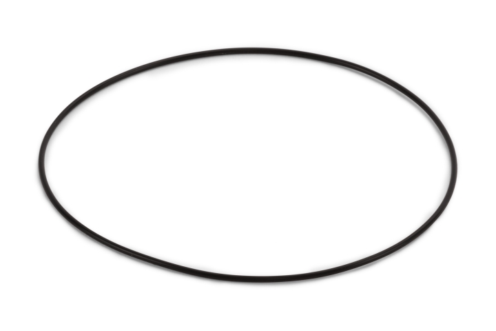 O-ring nel gruppo  presso GPLSHOP (5744529-01)
