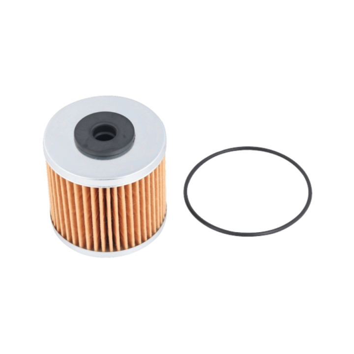 Kit Filtro 5761272-01 nel gruppo  presso GPLSHOP (5761272-01)