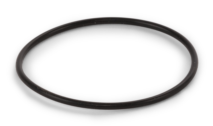 O-ring nel gruppo  presso GPLSHOP (5764251-01)