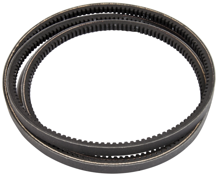 Cinghia nel gruppo presso GPLSHOP (5766672-01)