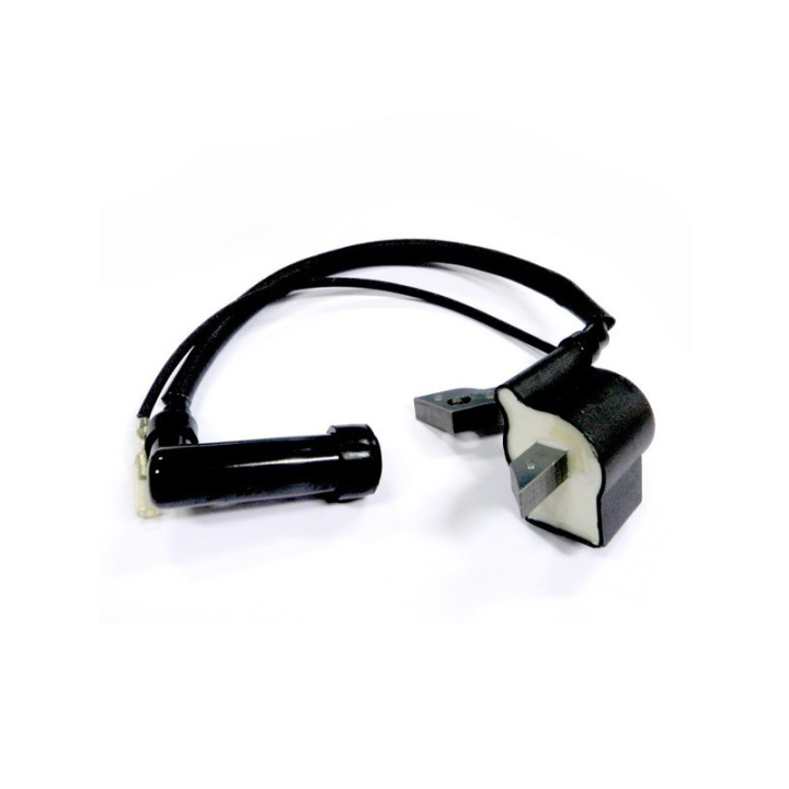 Modulo di accensione TF120 nel gruppo  presso GPLSHOP (5774734-01)