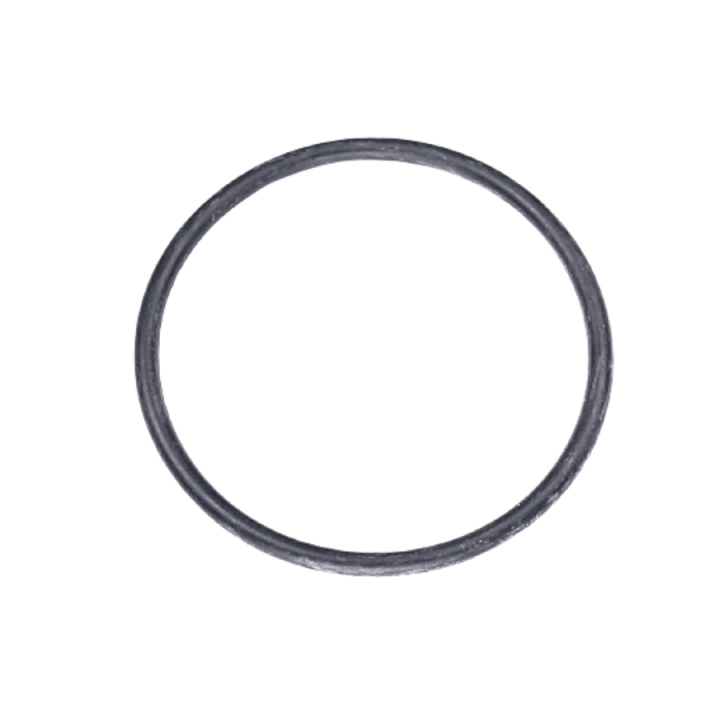 O-Ring 5787610-01 nel gruppo presso GPLSHOP (5787610-01)