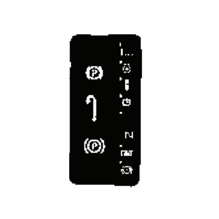Decal 5789782-01 nel gruppo I Pezzi Di Ricambio / Ricambi per Trattorini Rasaerba McCulloch / Pezzi di ricambio McCulloch M125-97FH presso GPLSHOP (5789782-01)