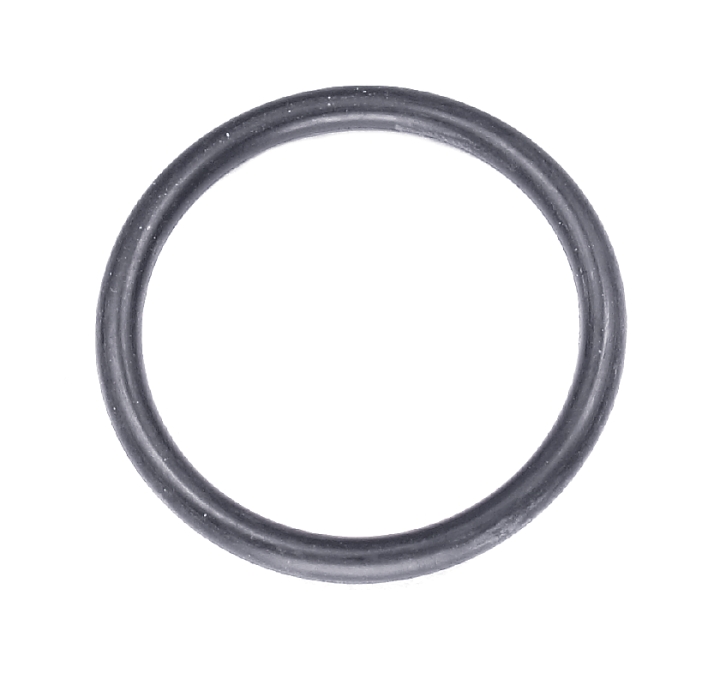 O-ring nel gruppo presso GPLSHOP (5790921-01)