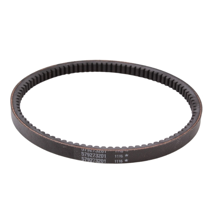 Cinghia 5792732-01 nel gruppo presso GPLSHOP (5792732-01)