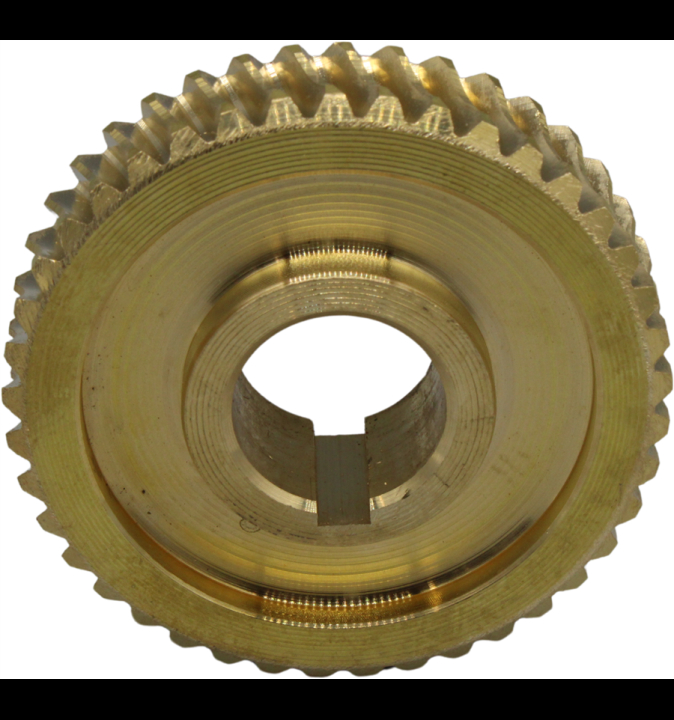 Conchiglia 5803641-01 nel gruppo  presso GPLSHOP (5803641-01)