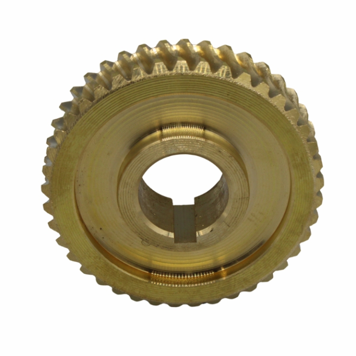 Conchiglia 5803641-01 nel gruppo  presso GPLSHOP (5803641-01)