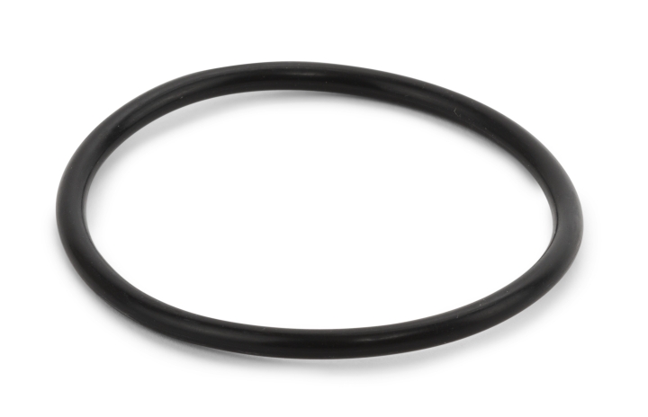 O-ring nel gruppo presso GPLSHOP (5804124-01)